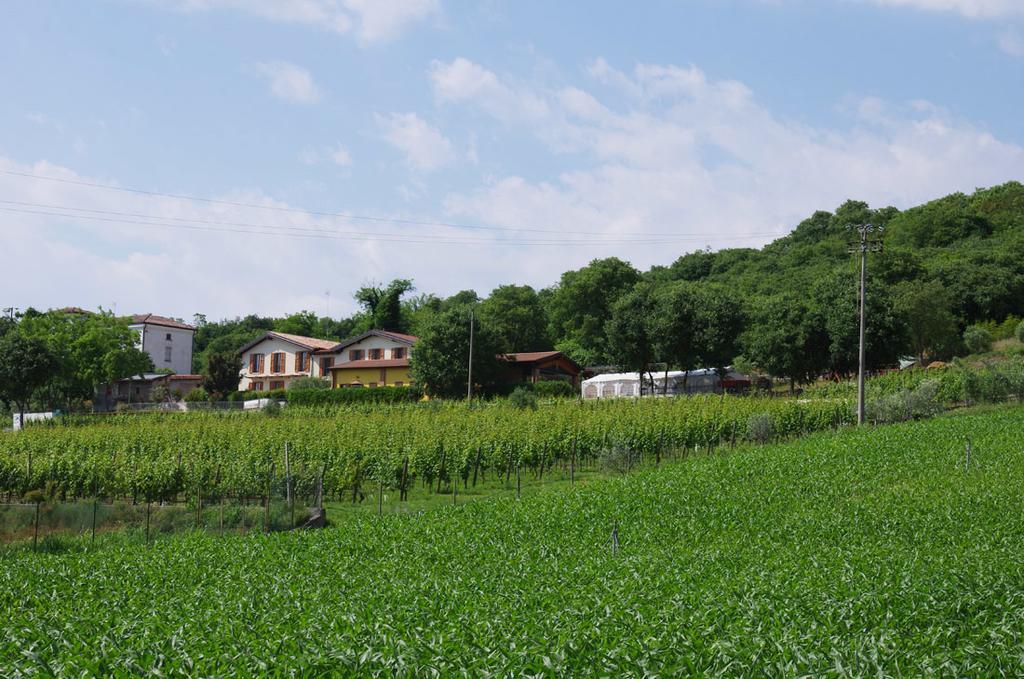 Agriturismo Casa Villi Solferino Eksteriør bilde